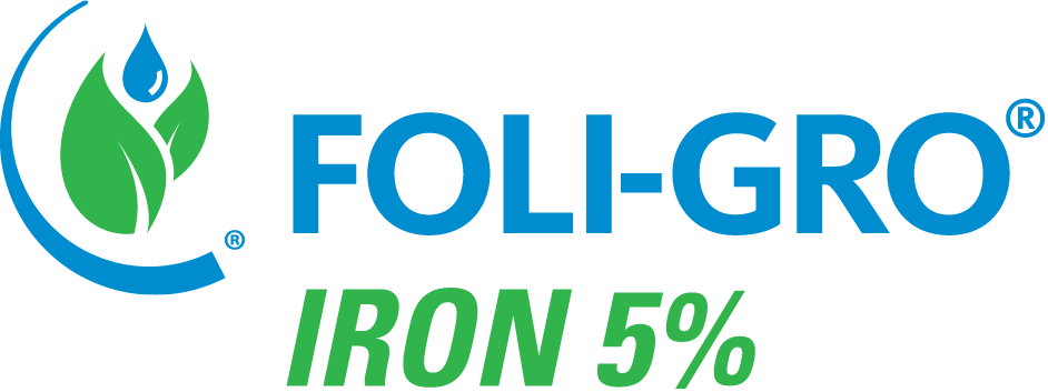 FOLI-GRO IRON 5 PERCENT