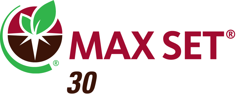 MAX SET 30