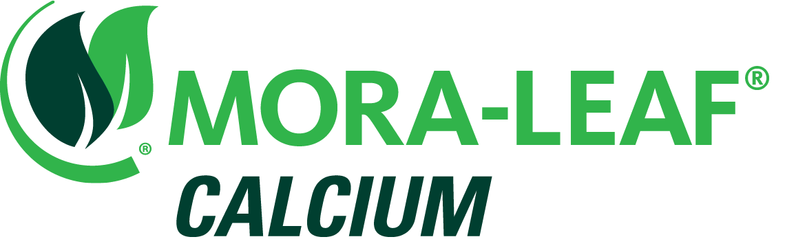 MORA-LEAF CALCIUM