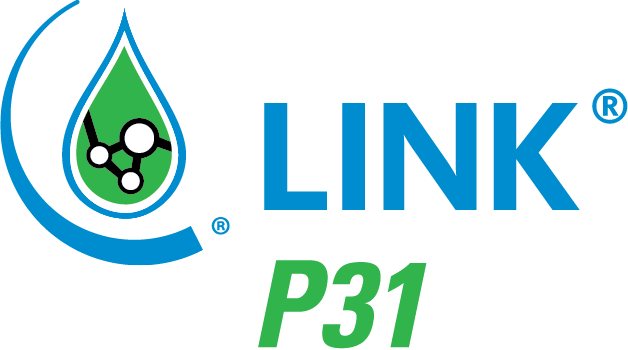 LINK P31