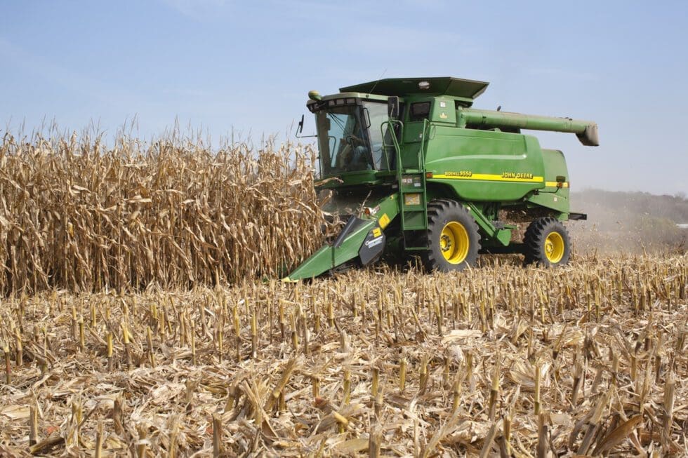 Corn Stalk Lodging Management and What You Can Do | Wilbur-Ellis